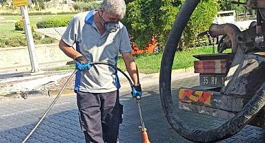 Efes Selçuk’ta Haşere Sorununa Karşı Yoğun Mücadele: Önlemler Artırıldı
