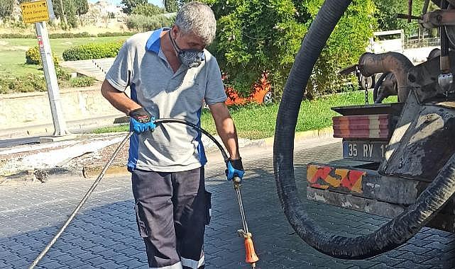 Efes Selçuk’ta Haşere Sorununa Karşı Yoğun Mücadele: Önlemler Artırıldı