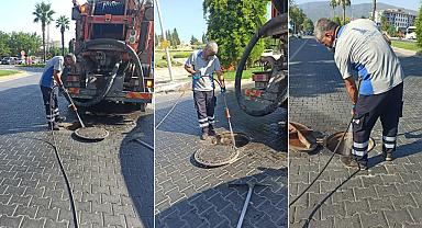 Efes Selçuk'ta haşereyle mücadele: Önlemler arttırıldı