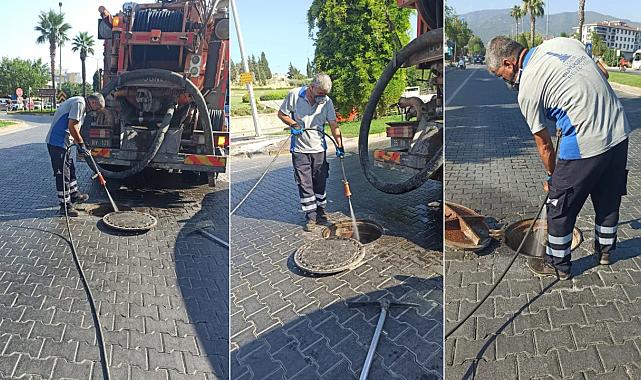 Efes Selçuk&#039;ta haşereyle mücadele: Önlemler arttırıldı