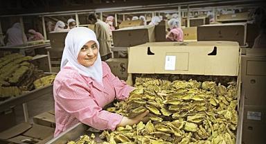 Egeli ihracatçı 2024 yılının ilk yarısında mevcudu koruyamadı