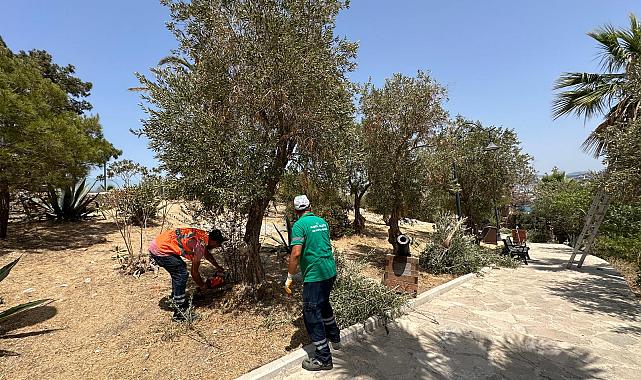 Güvercinada Tarihi Kimliği İle Buluşuyor