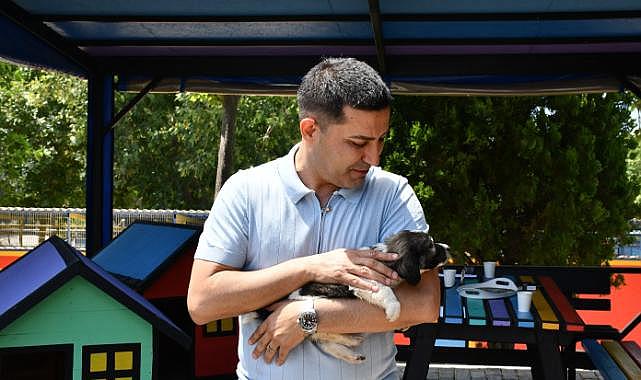 Hayvansever Başkan Ömer Günel’den Kanun Teklifine Sert Tepki “Hiçbir Canlının Yaşam Hakkı Gasp Edilemez