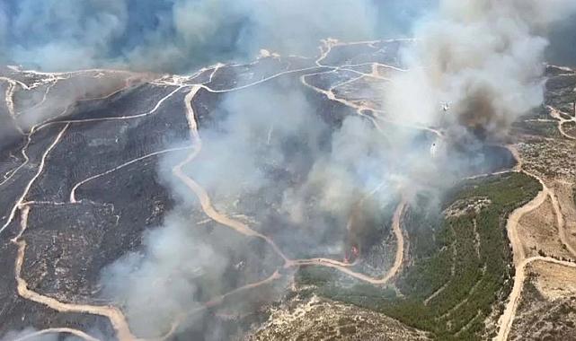 İzmir Çeşme’de Meydana Gelen Orman Yangınında 3 Kişi Hayatını Kaybetti