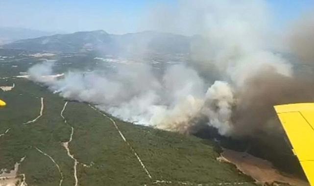 İzmir&#039;de orman yangını: Havadan ve karadan müdahale sürüyor