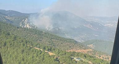 İzmir'deki orman yangını 2. gününde