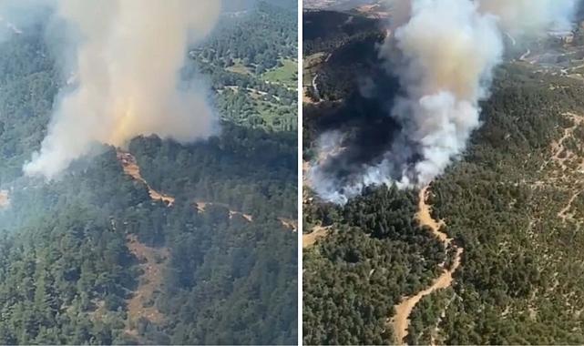 İzmir Ödemiş'te orman yangını çıktı! ekipler hızla müdahaleye başladı.