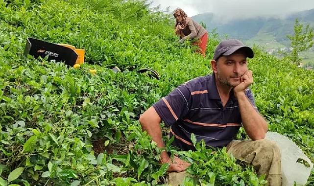 Kota düşürülmüştü! ÇAYKUR'dan izdiham önlemi: Alımlarına 1 günlük ara verildi