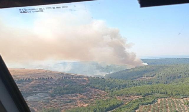 Menderes'teki orman yangını kontrol altında