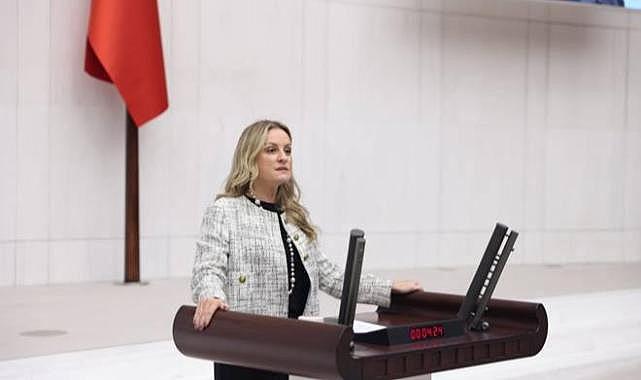 Milletvekili Ösen, İzmir’de Yaşanan Elektrik Faciasını Bayraktar’a Sordu