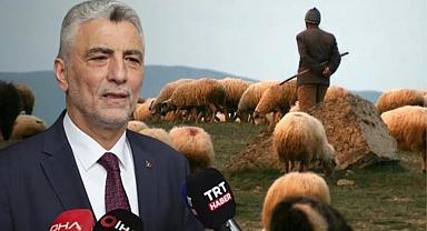 Ömer Bolat'ın