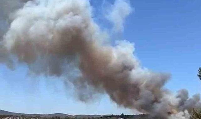 Orman Yangını Milas’ı Tehdit Ediyor