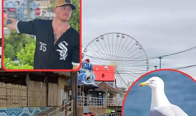 Patates Kızartması Yüzünden Martıyı Öldürdü