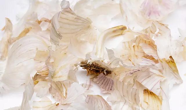 Sakın çöpe atmayın: Meğer faydası kabuğundaymış! Bağışıklık sistemini zırh gibi güçlendiriyor, toksinleri vücuttan söküp atıyor