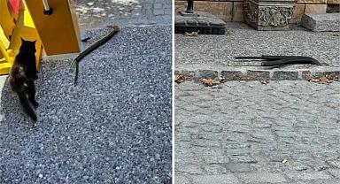 Skandal görüntüler! Foça'da elektrik kablolarını açıkta bıraktılar