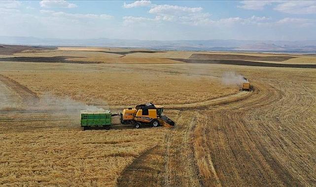 Tarımda korkutan tablo: Kuraklık vurdu, rekolte düştü; süt krizi bekleniyor