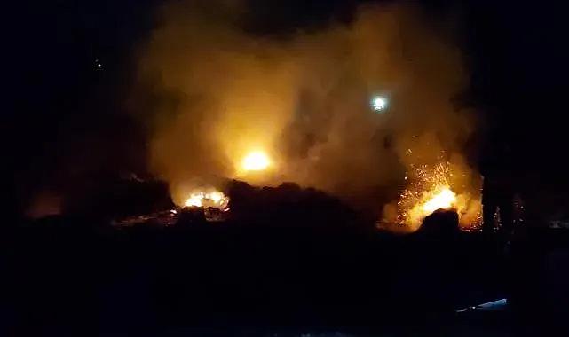 Tekirdağ'da 300 dönüm alan yandı