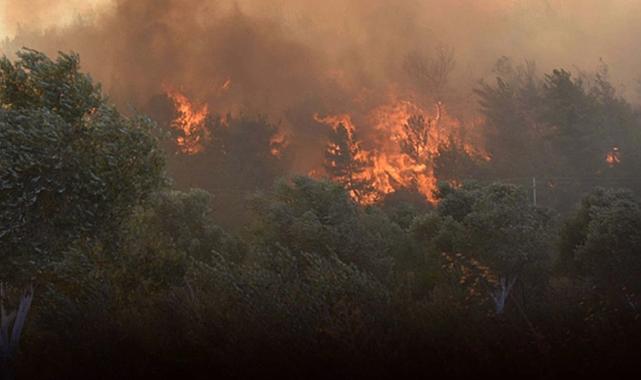 Uzmanından 'kuru toprak' uyarısı! En küçük kıvılcımda çıra gibi tutuşuyor
