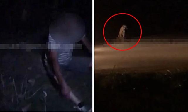 60 yaşındaki şahıs, köpeğe tecavüz ederken yakalandı! O esnada sorulan soru olayı gölgede bıraktı