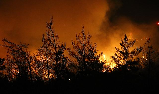 Aydın ve Muğla'daki yangınlarda 2.gün! Son durum ne?