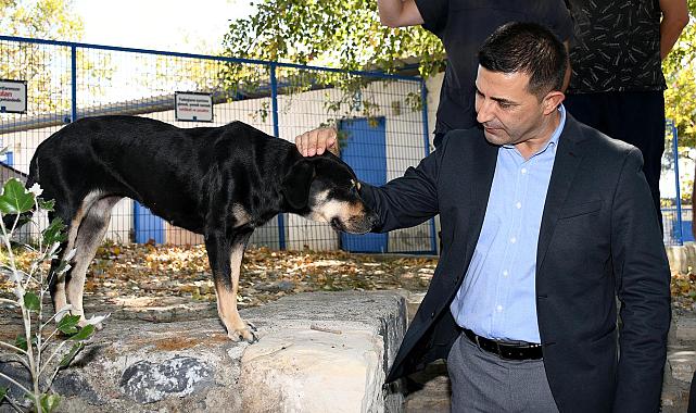 Başkan Ömer Günel: "Hayvanları Koruma Yasası İçin Kaynak ve Destek Gerekli"