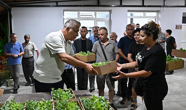 Bornova Belediyesi'nden üreticiye destek:120 bin tohum ve fide dağıtıldı