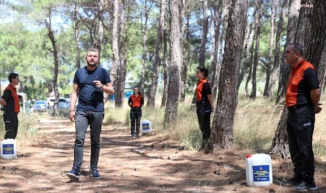 Buca'da gönüllü hareketi: Yangın riskine karşı ormanlar temizlenecek