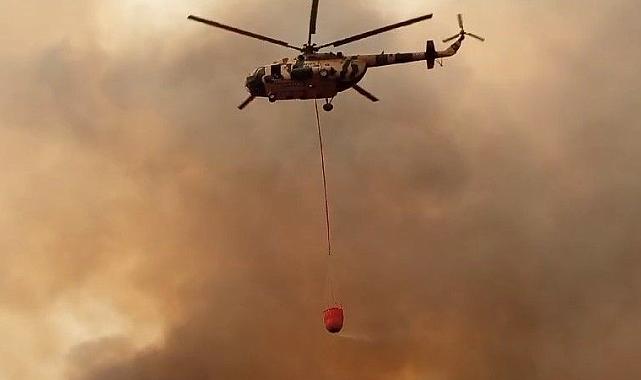 Ege'de orman yangınları durmuyor: Muğla'da 2 noktada daha orman yangını çıktı