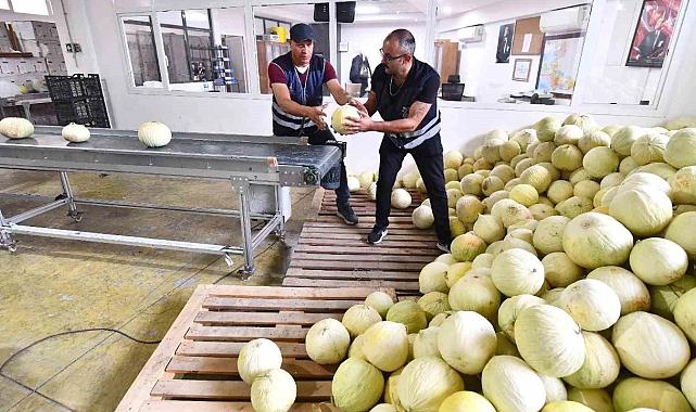 İzmir Büyükşehir Belediyesi 300 ton karpuz ve kavunu ihtiyaç sahiplerine dağıtacak