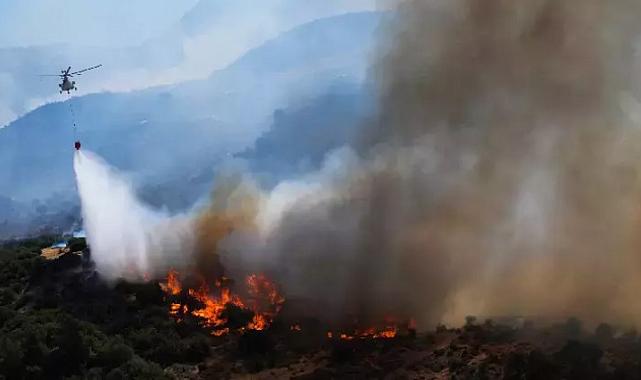 İzmir'deki yangın felaketinde 2.gün: Alevlerle mücadele sürüyor!