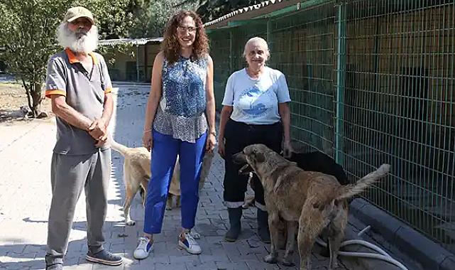 İzmir'deki yangında boşaltılmıştı: Karşıyaka'ya hayvanlar için yeni tesis