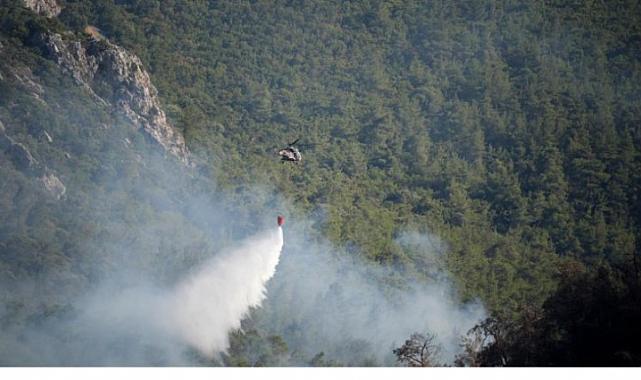 İzmir Menderes yangını kontrol altına alındı
