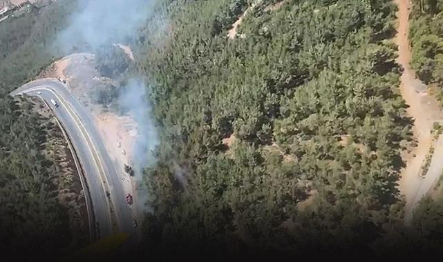 Kemalpaşa'da orman yangını: 1 saat sonra kontrol altına alındı