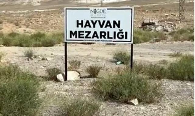 Niğde'deki köpek mezarlığının aslı bambaşka çıktı