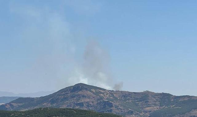 Tunceli'de Orman Yangını Çıktı! Söndürme Çalışmaları Sürüyor
