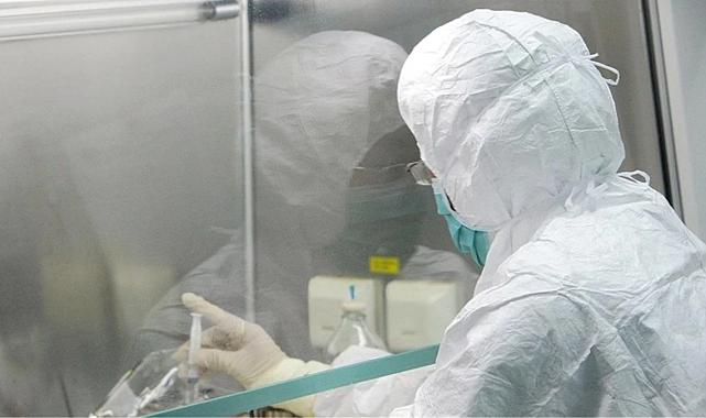 Türkiye'de maymun çiçeği vakası var mı? Bakanlık'tan ilk açıklama geldi