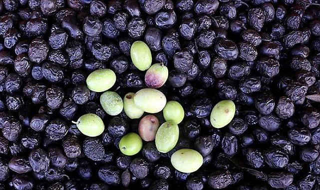Türkiye'den 116 ülkeye sofralık zeytin ihracatı