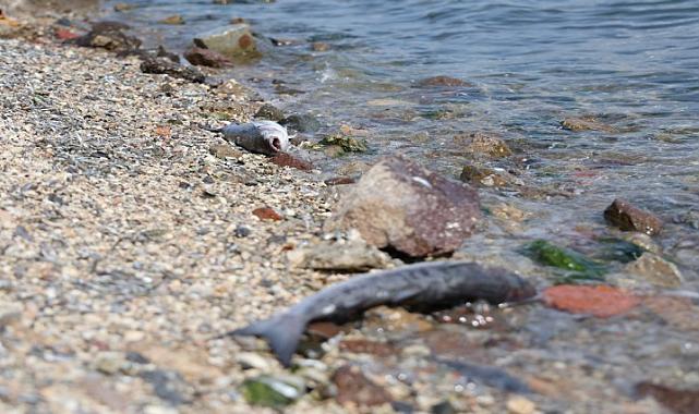 Çevre Bakanlığı'ndan İZSU'ya Ceza ve Suç Duyurusu