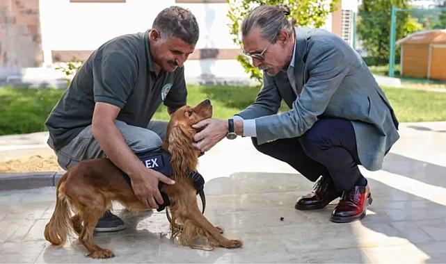 Erdal Beşikçioğlu, eğitimleri tamamlanan 5 sokak köpeğini belediye bünyesine aldı