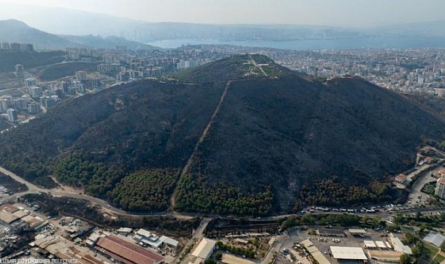 İzmir’de yanan alanların orman dışına çıkarılması Danıştay’a taşındı: Dilekçeyi Tunç Soyer’in kızı Defne Soyer verdi