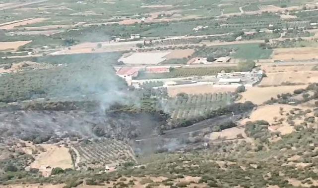 Menemen'de orman yangını: Havadan ve karadan müdahale sürüyor