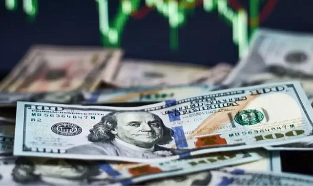 OVP verilerine göre; 4 yıllık dolar tahmini! 2025'te 42 lirayı görecek
