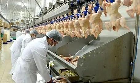 Beyaz et sektöründeki rekabet soruşturması genişletildi