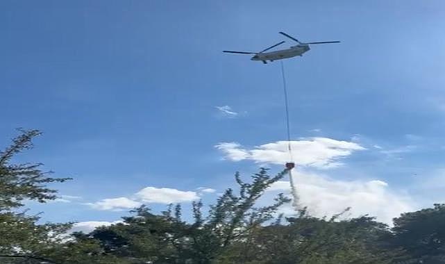 Dikili&#039;deki orman yangını kontrol altına alındı