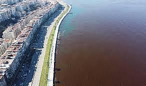 İzmir Körfezi için kötü haber: &quot;Eski hâlini alması yıllar sürecek&quot;