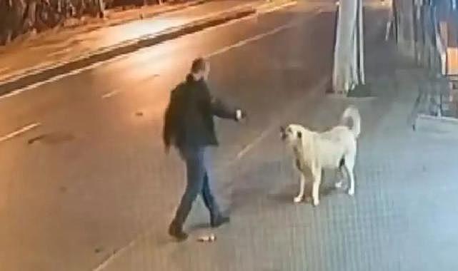 Sokak köpeğinin üzerine yürüyüp silah çekti