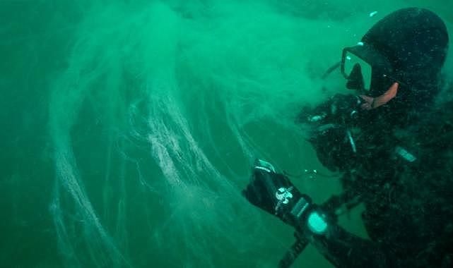 Güney Marmara’da müsilaj alarmı: yüzeye 5 metre kaldı