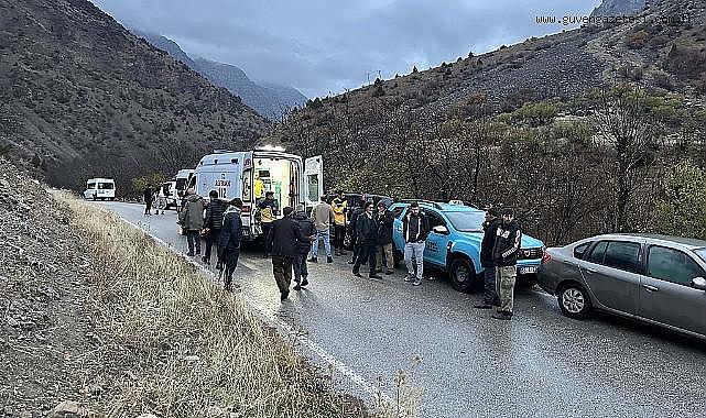Van'da üzerine kaya parçaları düşen çoban hayatını kaybetti