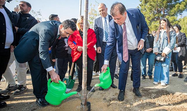 Yamanlar Dağı’nda Umut Yeşeriyor: İzmir’de Yangın Alanı Bal Ormanına Dönüşüyor