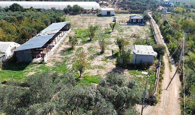 81 İLE 81 KÖPEK: AFETLERE HAZIRLIKTA YENİ BİR DÖNEM